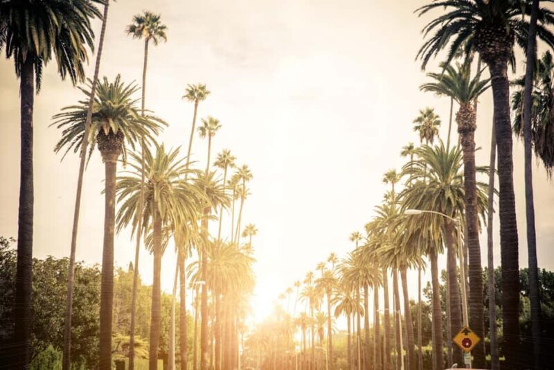 Los Angeles 4-Hour Private Tour: Beverly Hills & More - Exploring LA in Comfort and Style