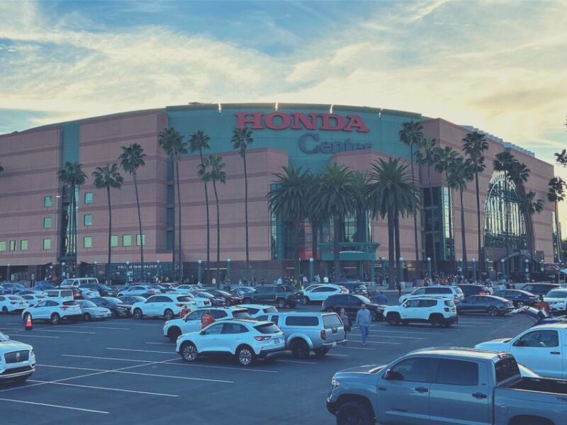 Los Angeles: Anaheim Ducks Ice Hockey Game Ticket - Los Angeles: Anaheim Ducks Ice Hockey Game Ticket – A Detailed Look