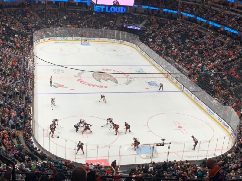 Los Angeles: Anaheim Ducks Ice Hockey Game Ticket - How the Seating and Pricing Work