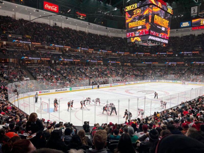 Los Angeles: Anaheim Ducks Ice Hockey Game Ticket - The Sum Up