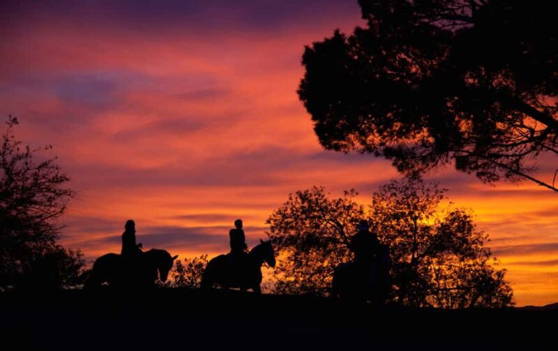 Los Angeles: Evening 2-Hour Hollywood Horseback Riding Tour - Key Points