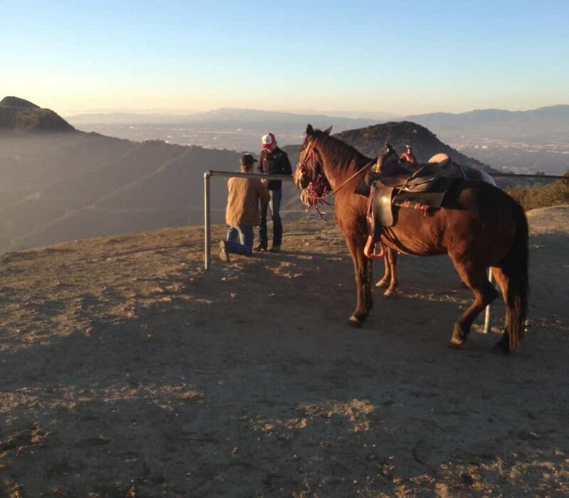 Los Angeles: Evening 2-Hour Hollywood Horseback Riding Tour - A Closer Look at the Hollywood Horseback Riding Tour