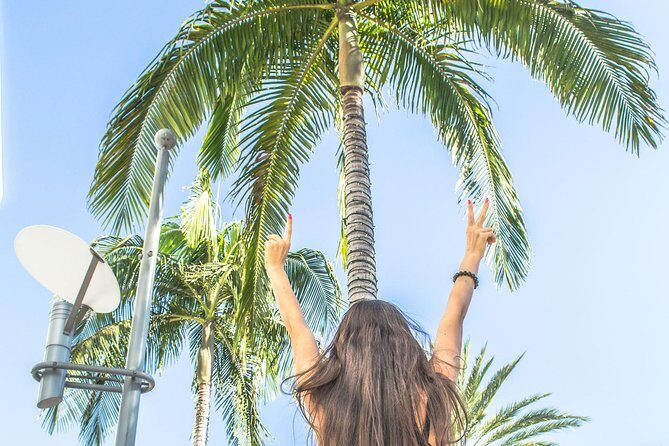 Los Angeles Half-Day Tour - Downtown, Hollywood, Rodeo Drive, Farmer's Market - A Detailed Look at What This Tour Offers