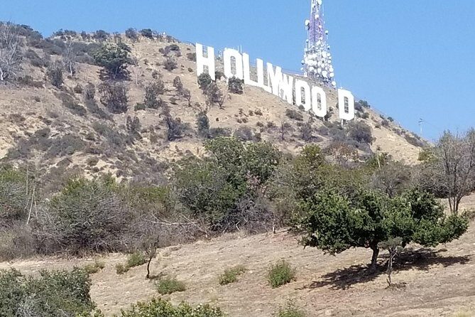 Los Angeles, Hollywood and Beach Small-Group Tour - Wrapping It Up: Who Should Consider This Tour?