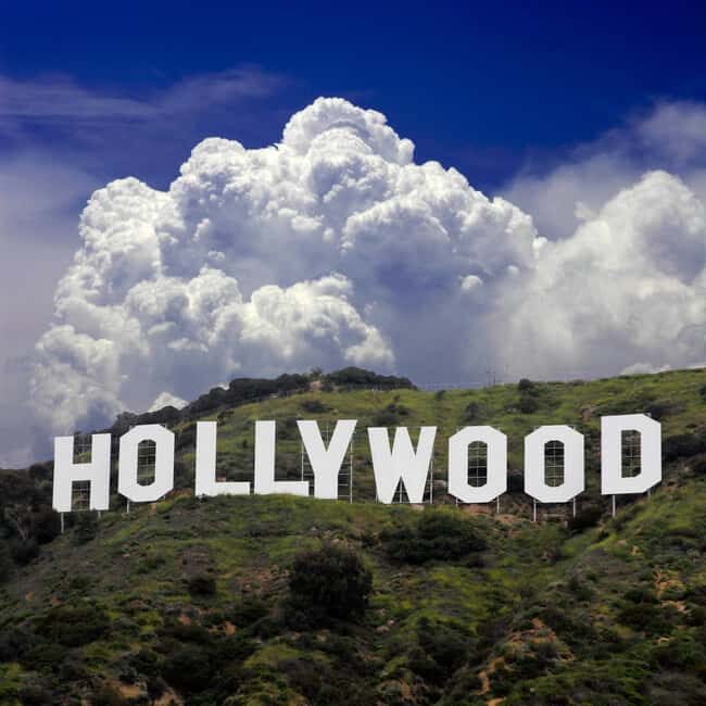 Los Angeles, Hollywood, and Beverly Hills Private Tour. - The Experience — What You Can Expect