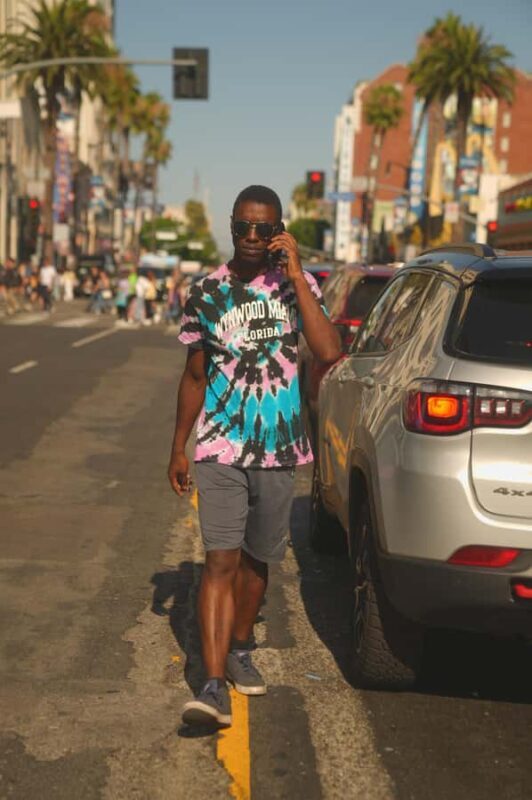 Los Angeles: Hollywood Blvd Mini Cinematic Portrait Session - Key Points