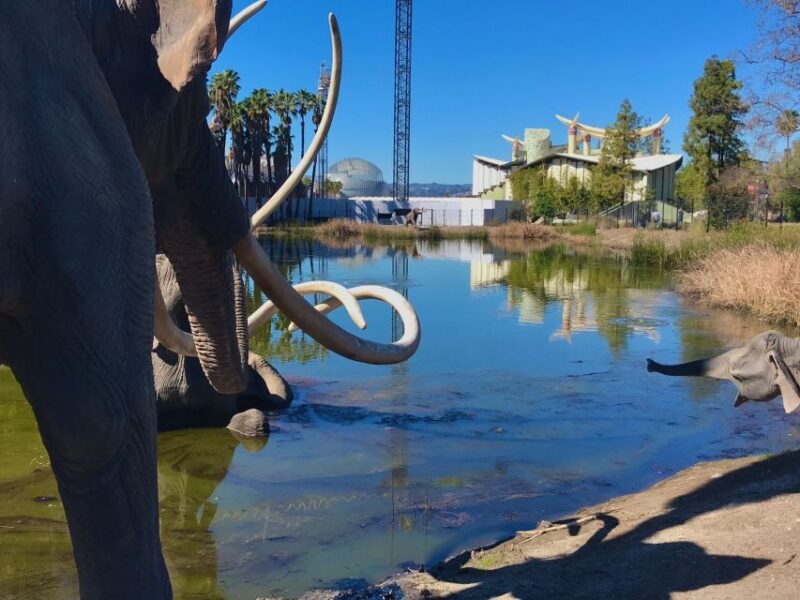Los Angeles: Hollywood Sign Electric Bike Tour - The Sum Up