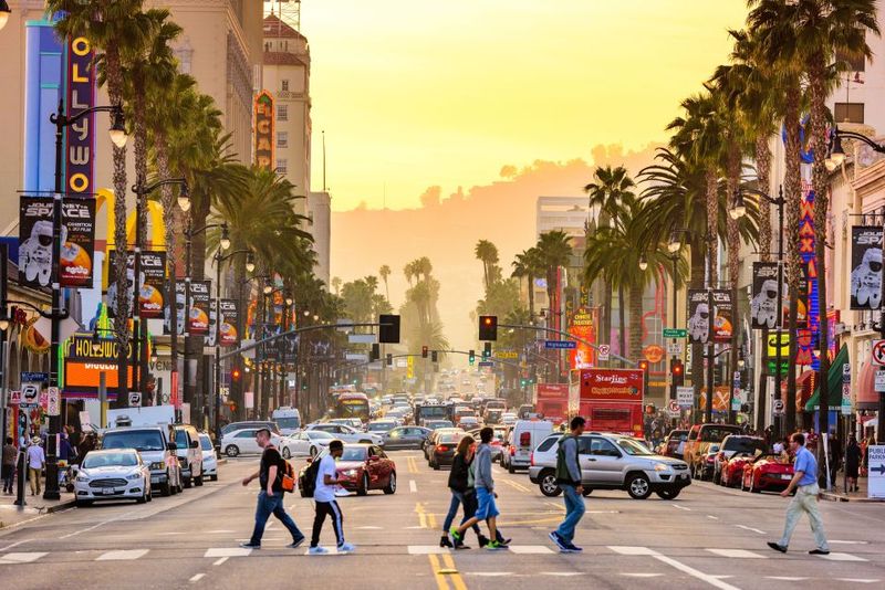 Los Angeles: Hop-On Hop-Off Bus Tour with Audio Guide - What the Open-Top Bus Feel Is Like