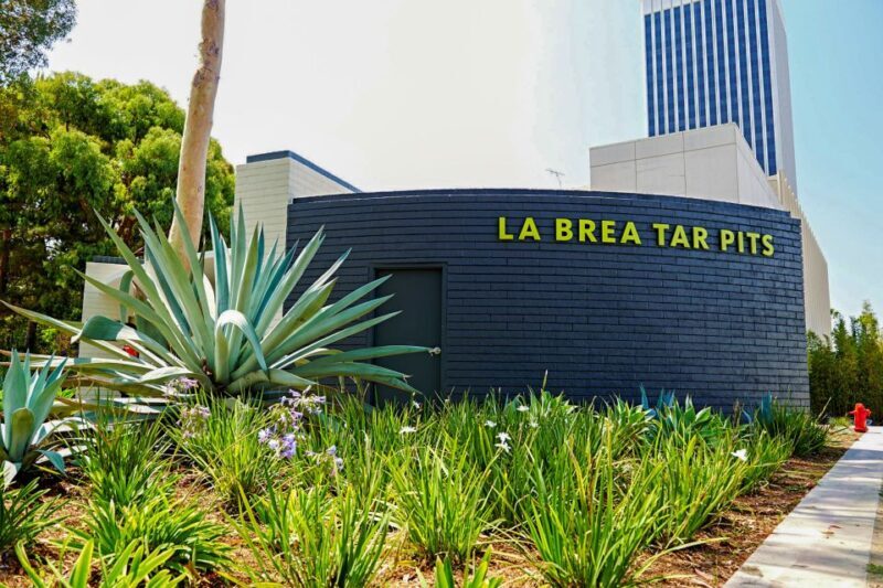 Los Angeles: La Brea Tar Pits Museum Ticket - Key Points