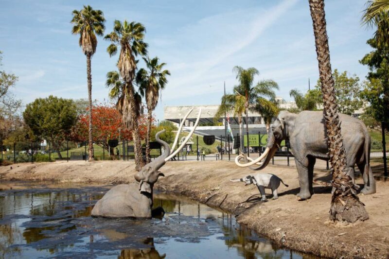 Los Angeles: La Brea Tar Pits Museum Ticket - What to Expect at the La Brea Tar Pits Museum
