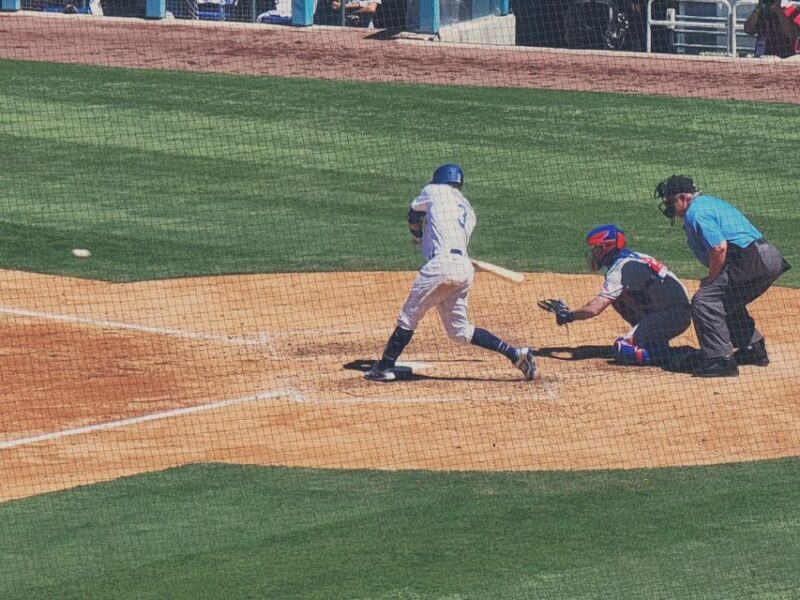 Los Angeles: LA Dodgers MLB Game Ticket at Dodger Stadium - The Price and Value