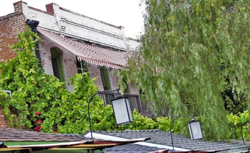 Los Angeles: Private 2-Hour Historic Tour - Who Would Love This Tour?