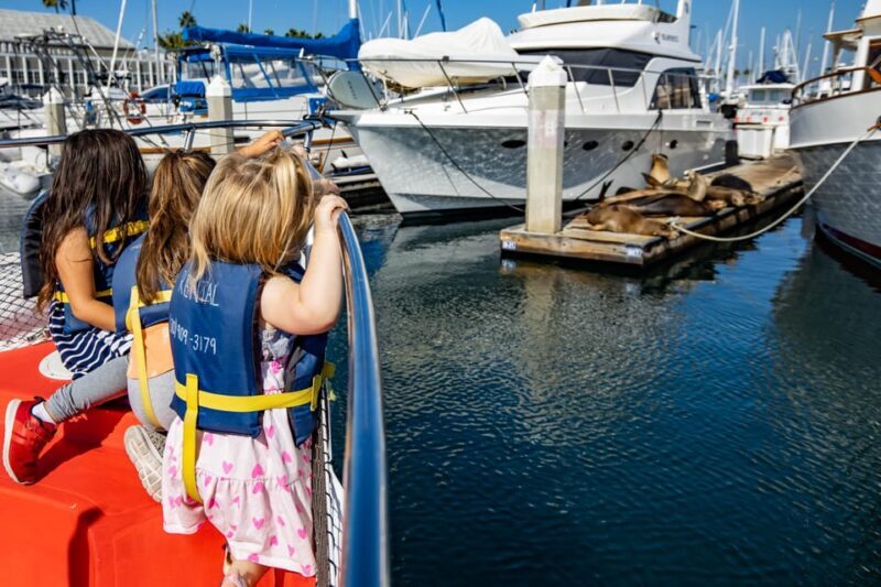 Los Angeles: Redondo Beach Glass Bottom Boat Cruise - What You Can Expect from the Tour