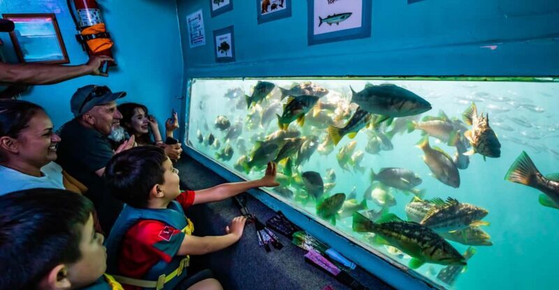 Los Angeles: Redondo Beach Glass Bottom Boat Cruise - Final Thoughts