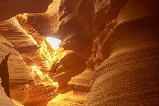 Los Angeles to Las Vegas Yellowstone National Park 7 Day Tour - Practical Details: What You Need to Know