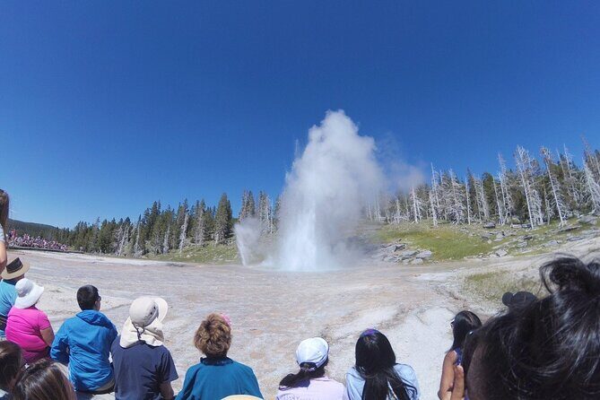 Los Angeles to Las Vegas Yellowstone National Park 7 Day Tour - The Experience on the Ground