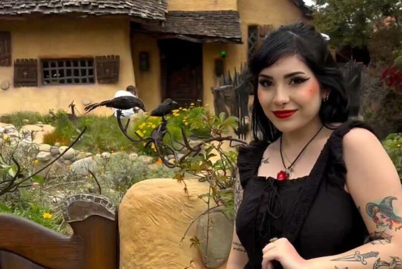 Los Angeles: True Crime Sightseeing Limo Tour - What Is the Los Angeles True Crime Sightseeing Limo Tour?