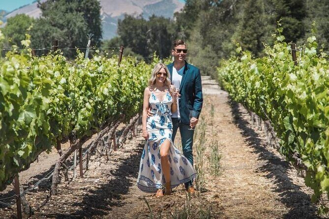 Los Angeles: Wine Experience at Fess Parker Winery by Helicopter - The Vineyard and Tasting Experience