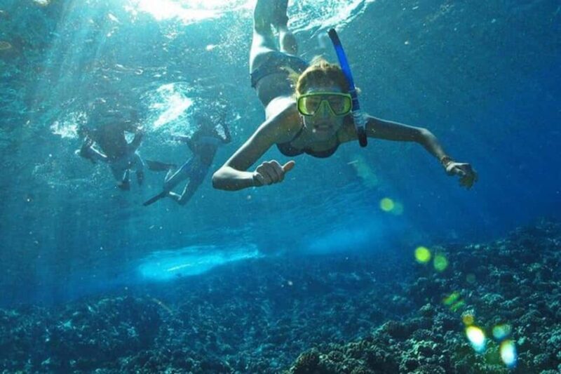 Los Arcos: Snorkel Tour in Los Arcos and Madagascar - Who Should Consider This Tour?