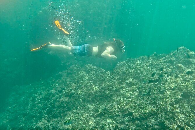 Los Arcos Snorkeling & 5 Island Adventure - Final Thoughts