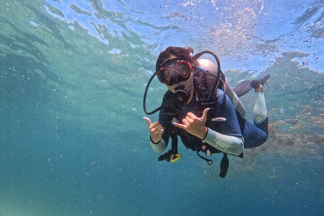 Los Cabos 1 tank dive to Lands End (Certified Divers) - Exploring the Los Cabos 1 Tank Dive to Lands End (Certified Divers)