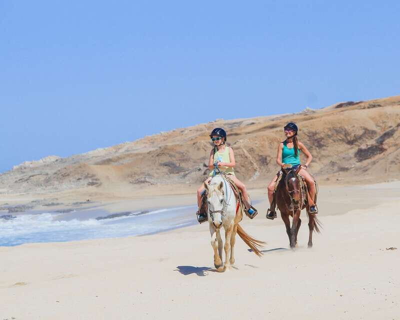 Los Cabos: 2 in 1 Combo Tour - Key Points