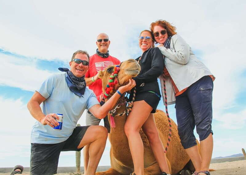 Los Cabos: 2 in 1 Combo Tour - The Experience in Detail