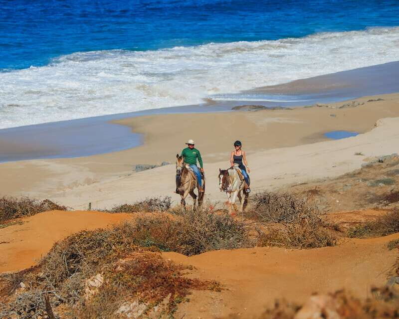 Los Cabos: 2 in 1 Combo Tour - FAQs About the Los Cabos 2-in-1 Combo Tour