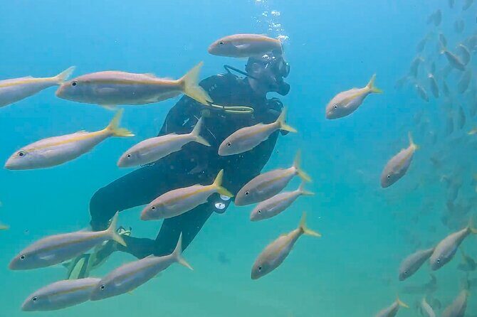 Los Cabos 2 tanks dive to The Corridor (Certified divers) - FAQ