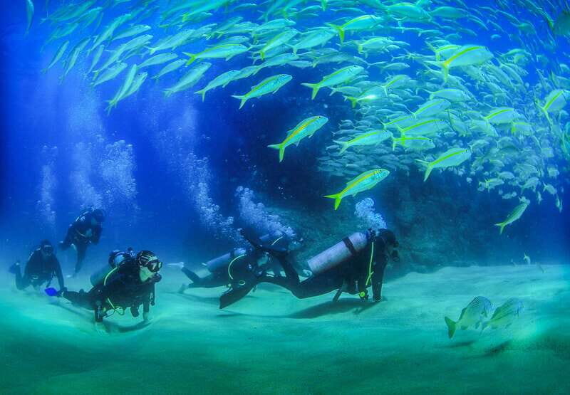 Los Cabos: 3-Hour Introductory Scuba Diving Adventure - Key Points