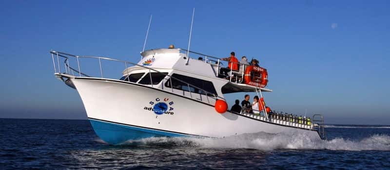 Los Cabos: 3-Hour Introductory Scuba Diving Adventure - Transportation and Practicalities