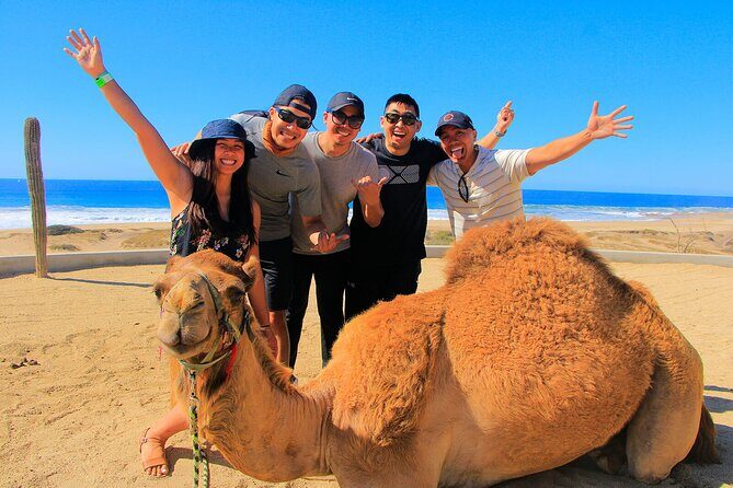 Los Cabos 3 in 1 Adventure: Camel Ride, Lunch and Arch Boat Tour - The Realities of This Tour: Pros & Cons