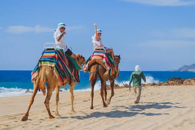 Los Cabos 3 in 1 Adventure: Camel Ride, Lunch and Arch Boat Tour - Who Is This Tour Best Suited For?