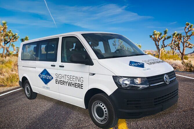 Los Cabos Airport One Way Shuttle Only Arrival - Review Highlights