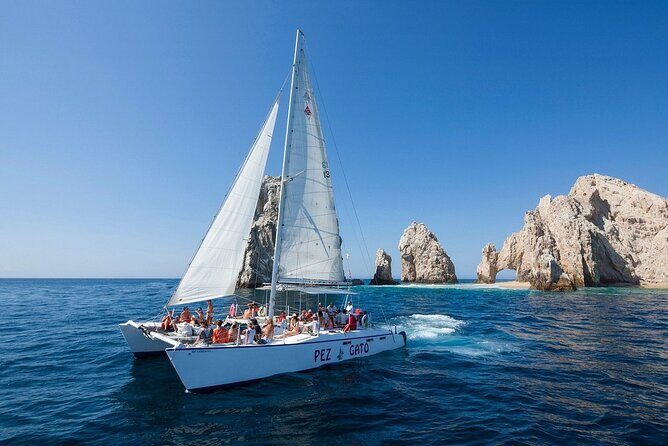 Los Cabos All Included Whale Watching Experience - What to Expect: A Closer Look at the Experience