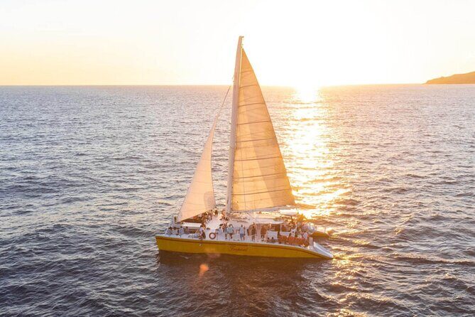 Los Cabos All Included Whale Watching Experience - FAQ