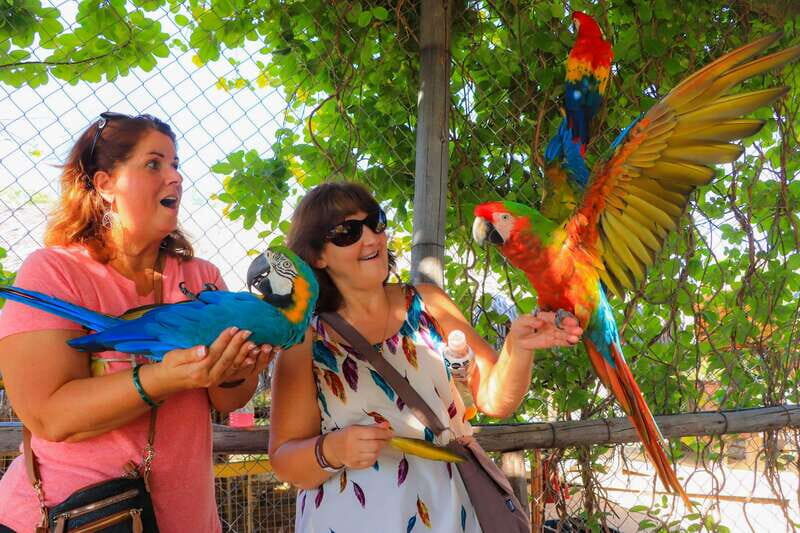 Los Cabos: Animal Encounter & Aqua Park Adventure - Key Points