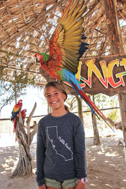 Los Cabos: Animal Encounter & Aqua Park Adventure - FAQs