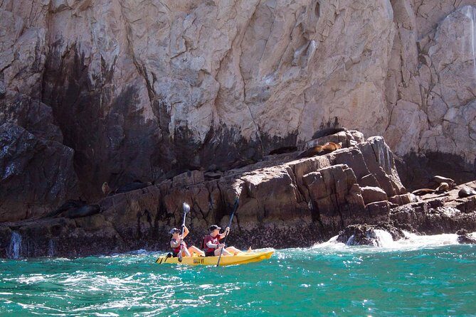 Los Cabos Arch and Playa del Amor Tour by Glass Bottom Kayak - Value for Money