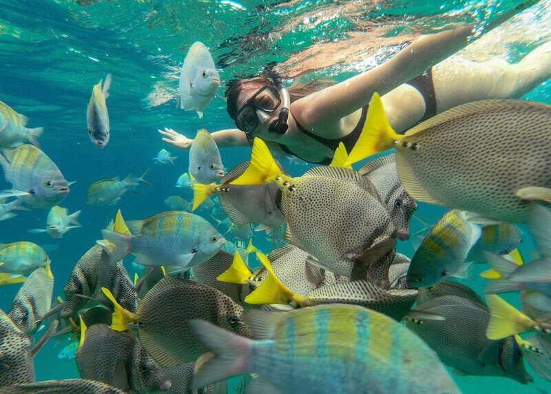 Los Cabos Arch & Lovers Beach Tour + Snorkeling Tour - Flexibility and Personal Touches