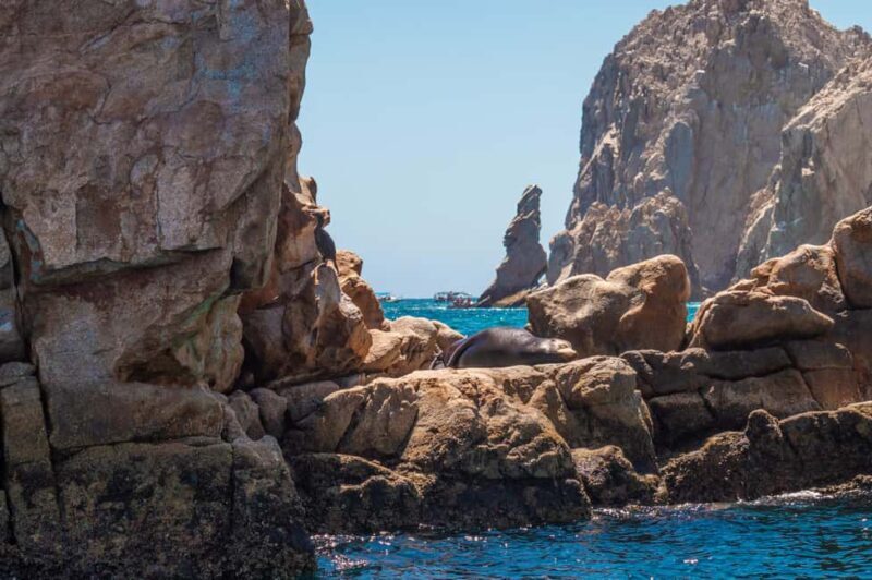 los cabos arch tour & drinks +snorkel tour - What Reviews Say