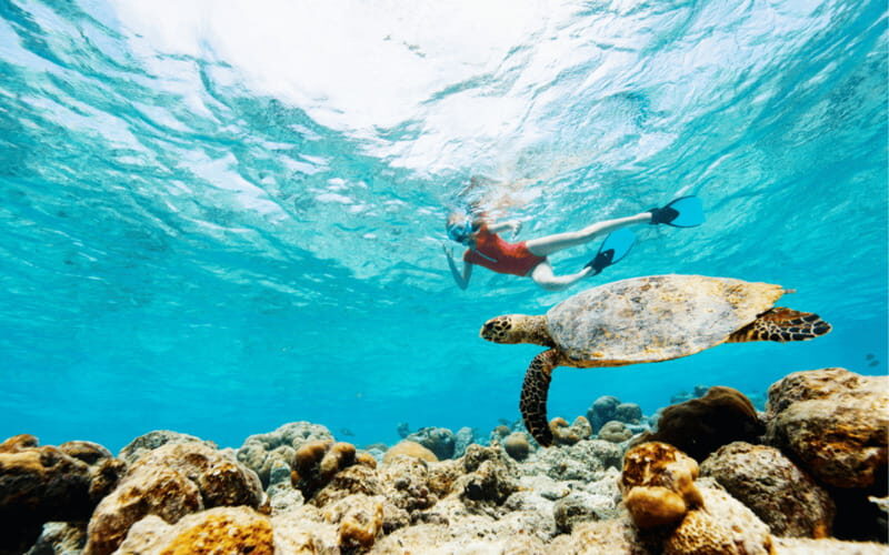 los cabos arch tour & drinks +snorkel tour - FAQs