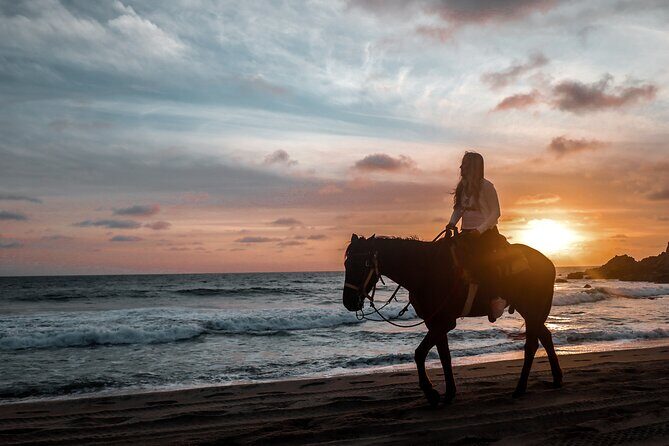 Los Cabos ATV and Pacific Horseback Riding Combo Tour - Pricing and Value