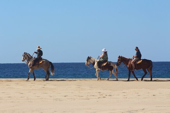 Los Cabos ATV and Pacific Horseback Riding Combo Tour - Authentic Guest Perspectives