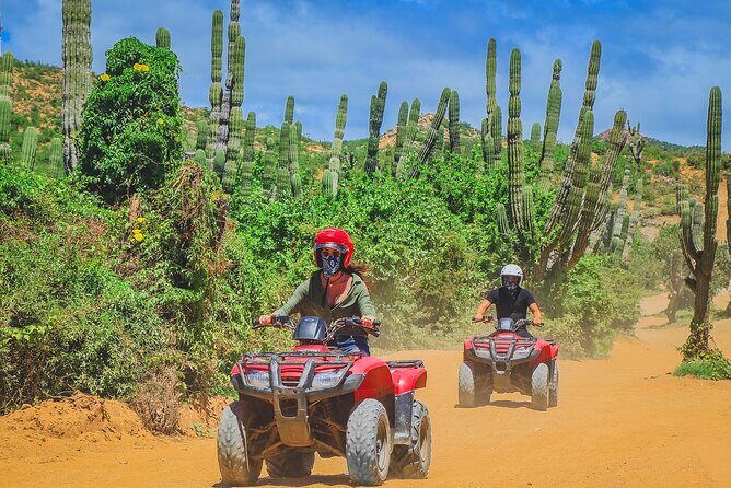 Los Cabos ATV Tour Double Rider - Pricing and Value