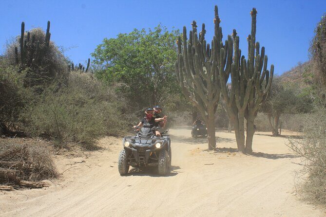 Los Cabos Beach & Desert Tour in Automatic ATV + Tequila Tasting - The Bottom Line