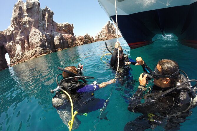 Los Cabos Beginner Scuba Dive Experience - Final Thoughts