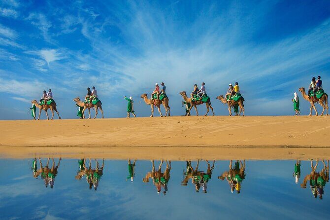 Los Cabos Camel Ride Adventure On The Beach - What to Expect from the Tour