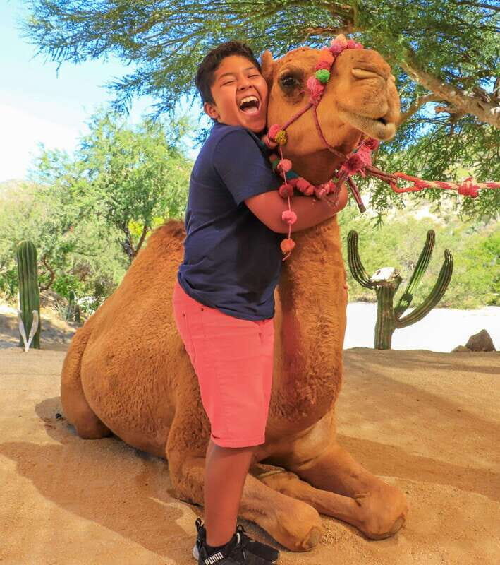 Los Cabos: Camel Ride in the Canyon & Thrilling Water-Slides - Water-Slides and Additional Fun