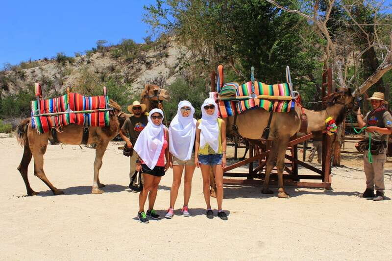 Los Cabos: Camel Ride in the Canyon & Thrilling Water-Slides - Pricing and Value